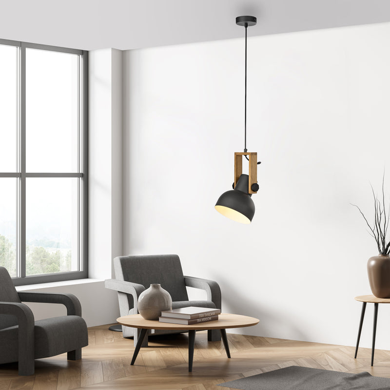 Lustra Paul Neuhaus CUP 2.0 1xE27 Negru