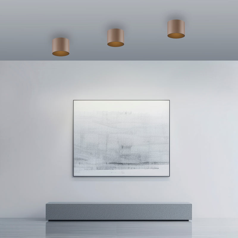Plafoniera Paul Neuhaus PURE POINT LED Maro