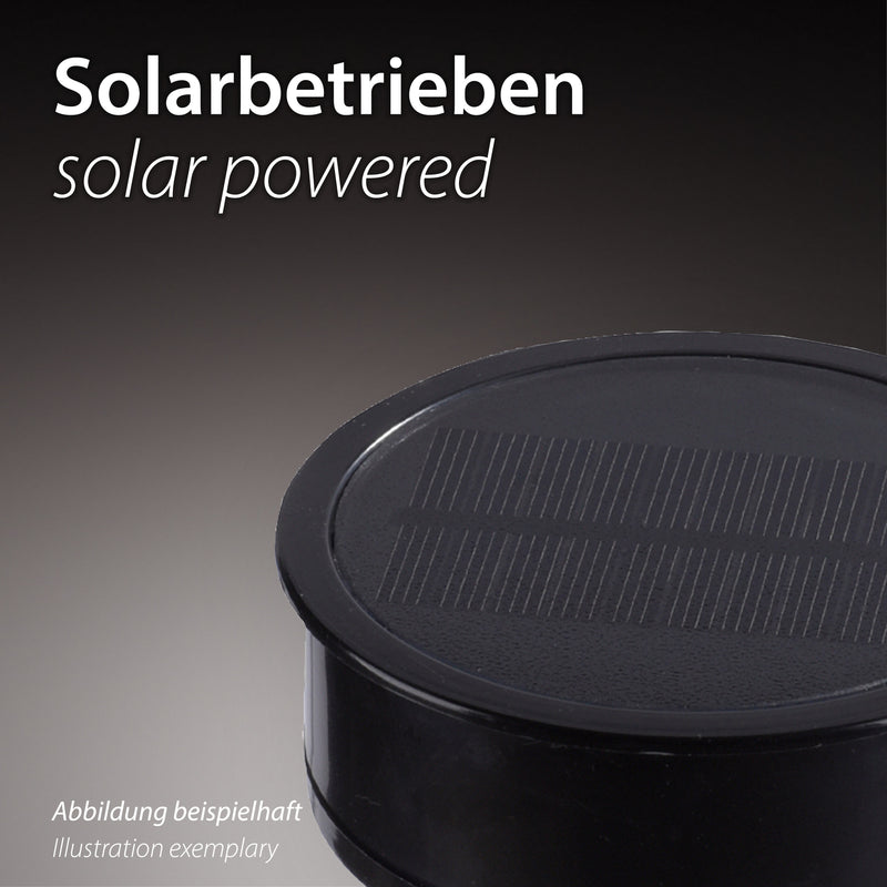 Lampa Exterior Paul Neuhaus FACKEL-SOL LED Negru