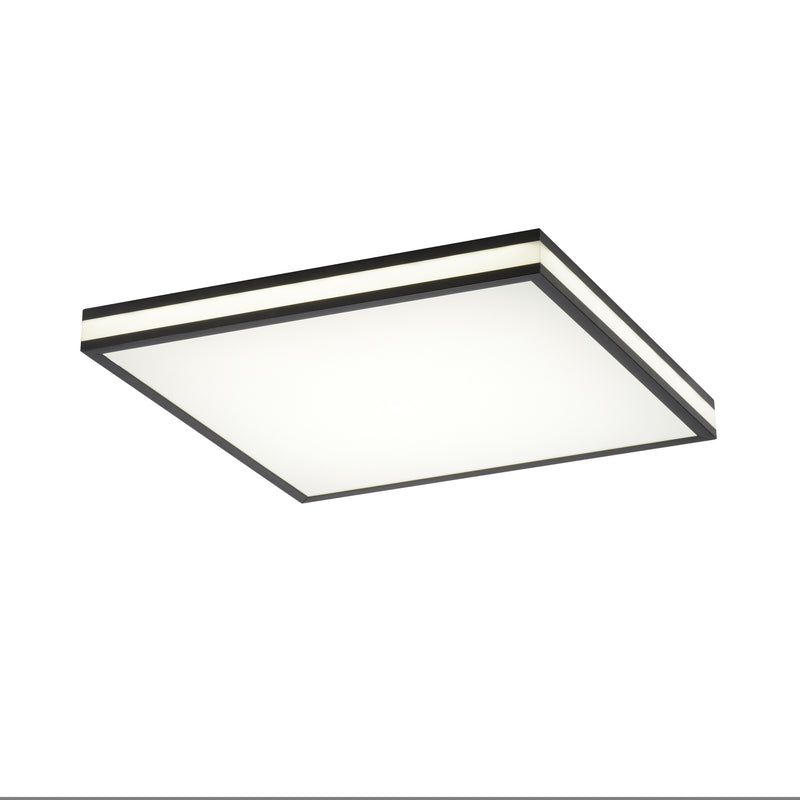Plafoniera Paul Neuhaus MARIO BLACK LED Negru