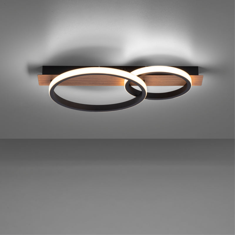 Plafoniera Paul Neuhaus TROOPER LED Negru