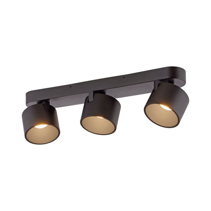 Plafoniera Paul Neuhaus PURE CUP 3xLED Negru