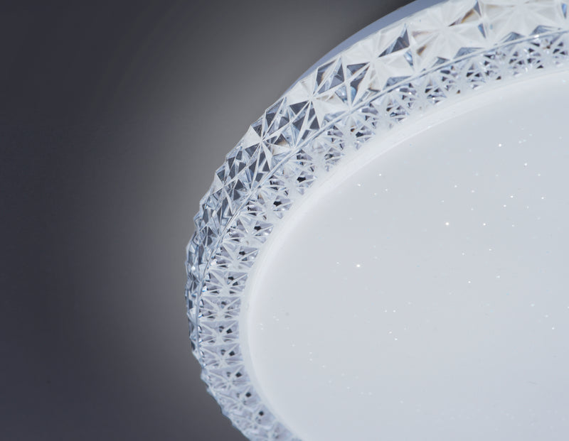 Plafoniera Paul Neuhaus FRIDA LED Transparent