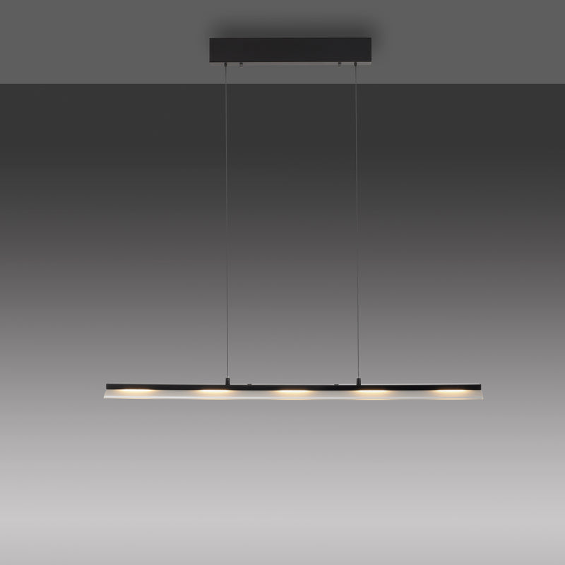 Lustra Paul Neuhaus NELE LED Negru