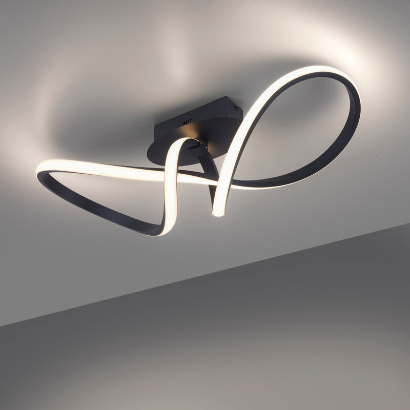 Plafoniera Paul Neuhaus MARIA LED Negru