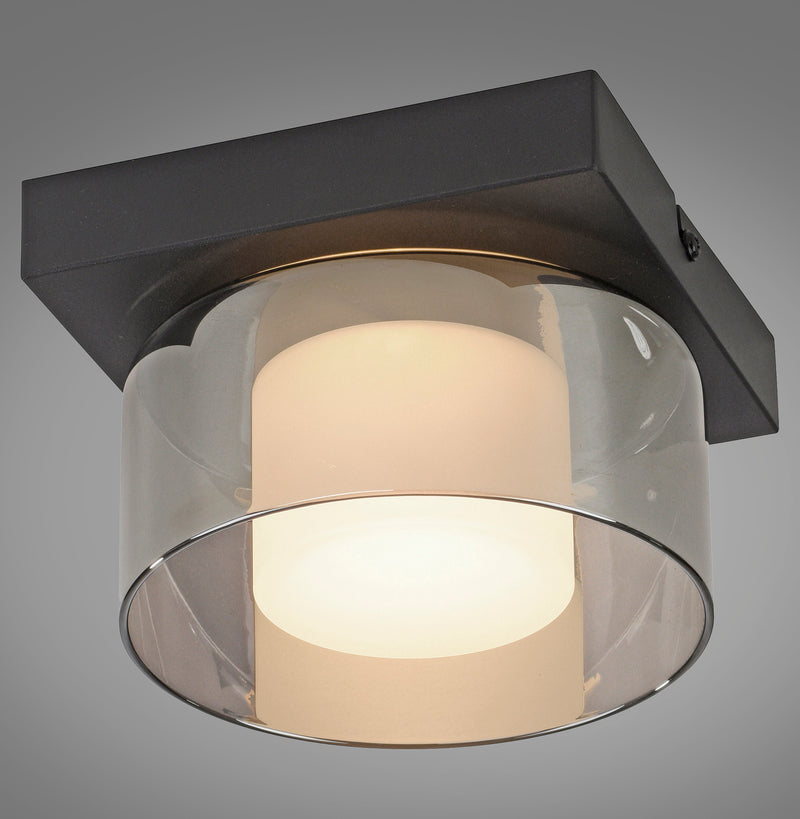 Plafoniera Paul Neuhaus RIKA LED Negru