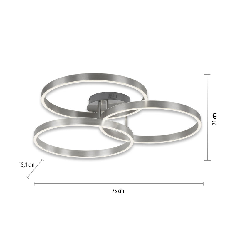 Plafoniera Paul Neuhaus PAAN 2xLED Argintiu