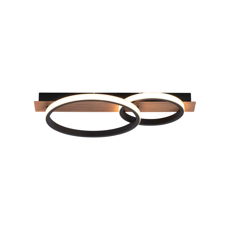 Plafoniera Paul Neuhaus TROOPER LED Negru
