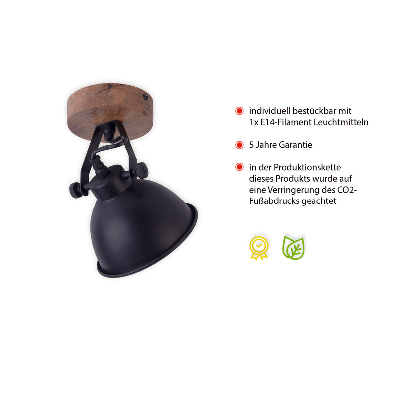 Plafoniera Paul Neuhaus SAMIA 1xE14 Negru