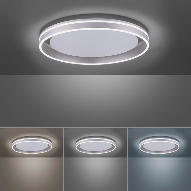 Plafoniera Paul Neuhaus Q-VITO LED Otel