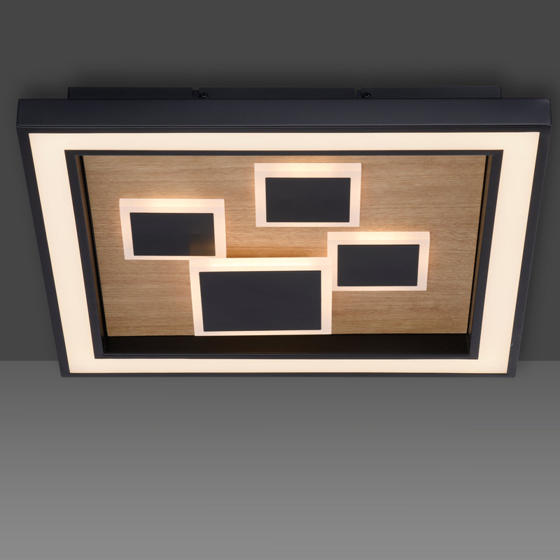 Plafoniera Paul Neuhaus ELIZA LED Negru