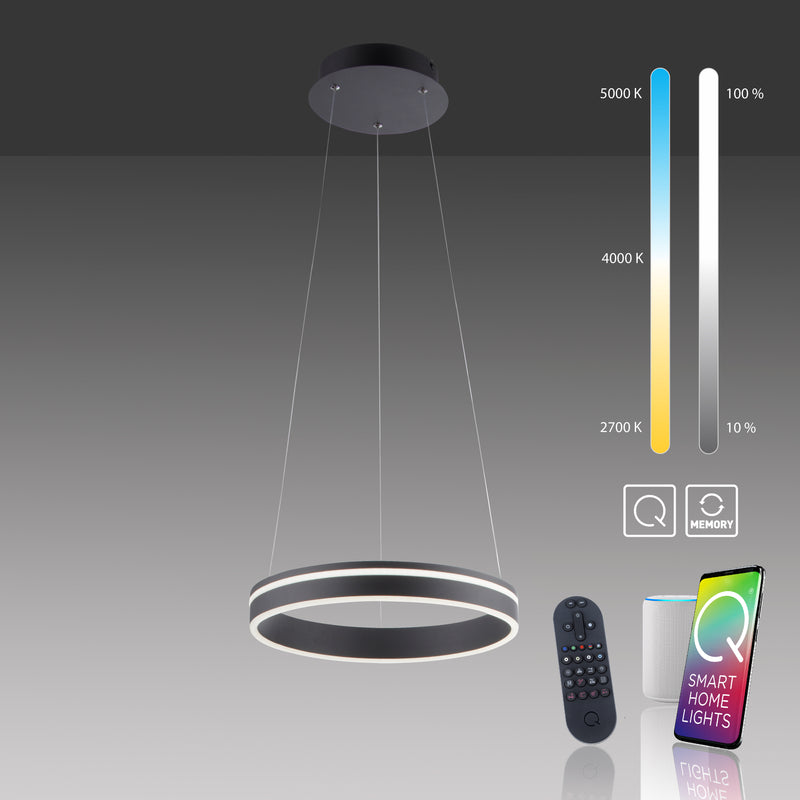 Lustra Paul Neuhaus Q-VITO LED Antracit