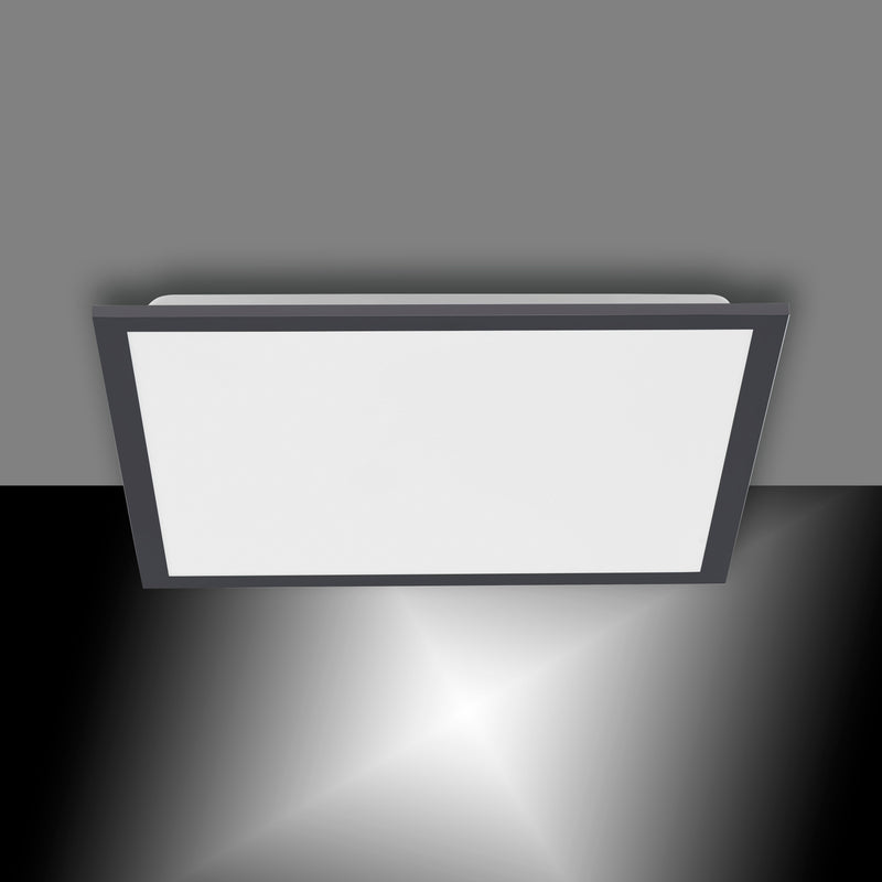 Plafoniera Paul Neuhaus FLAT LED