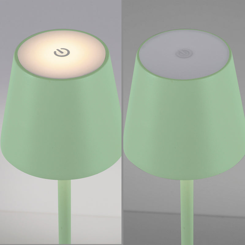 Lampa Exterior Paul Neuhaus EURIA LED Verde