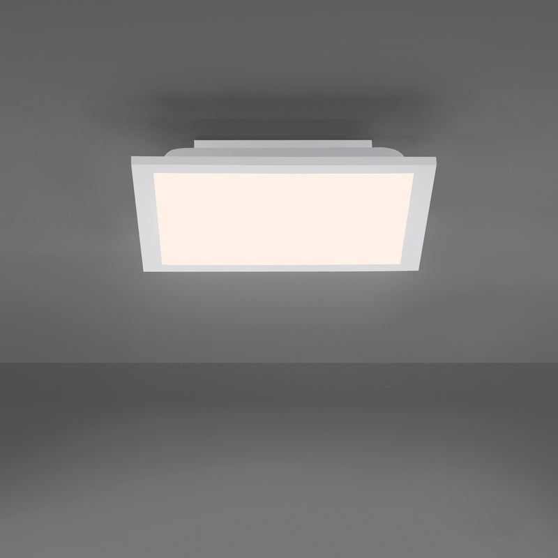 Plafoniera Paul Neuhaus FLEET LED Alb