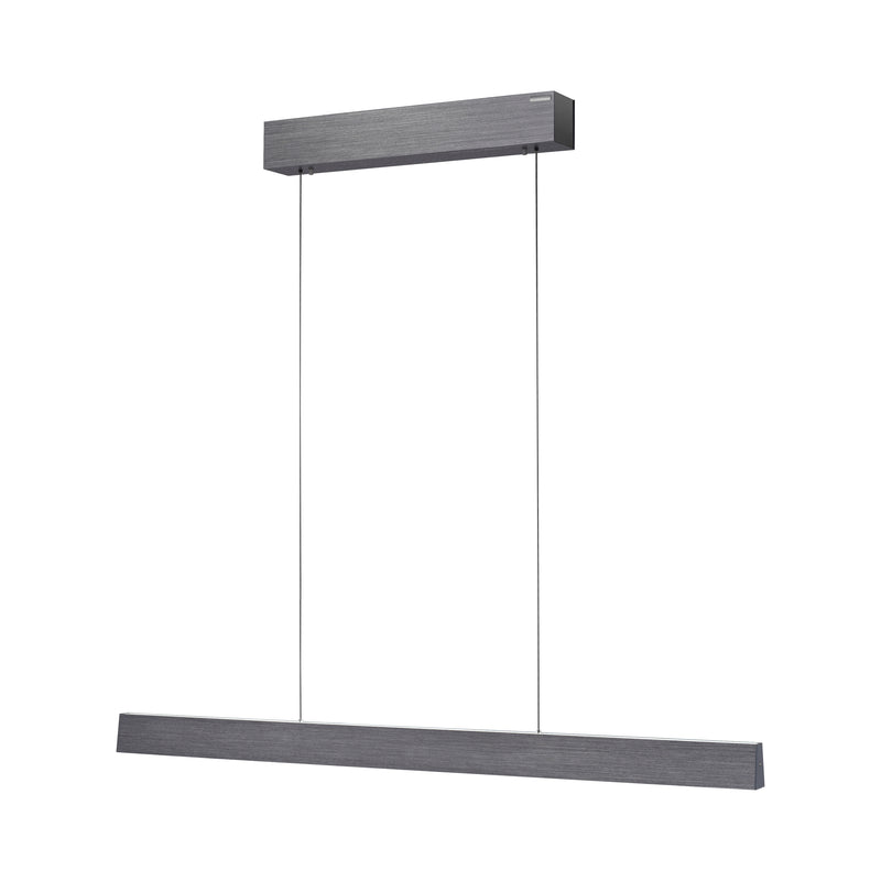Lustra Paul Neuhaus PURE E-MOTION 2xLED Gri