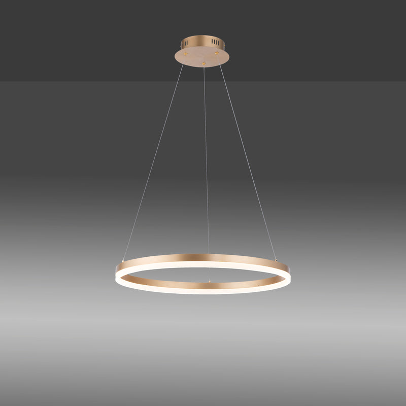 Lustra Paul Neuhaus TITUS LED Alama Mat