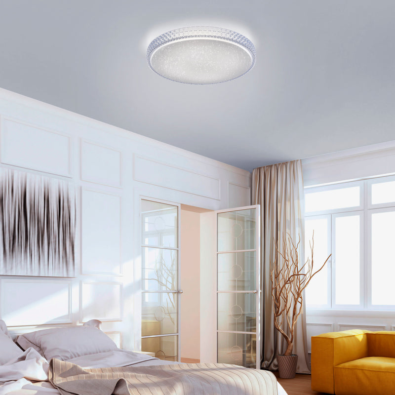 Plafoniera Paul Neuhaus FRIDA LED Transparent
