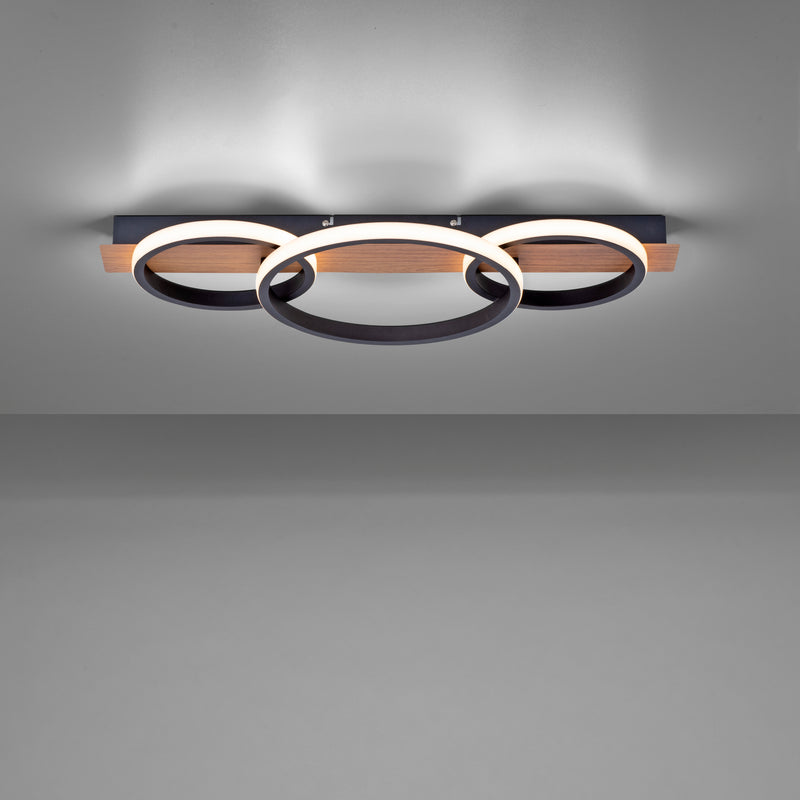 Plafoniera Paul Neuhaus TROOPER LED Lemn