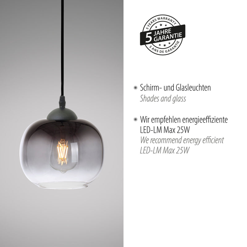 Lustra Paul Neuhaus ZEA 1xE27 Negru