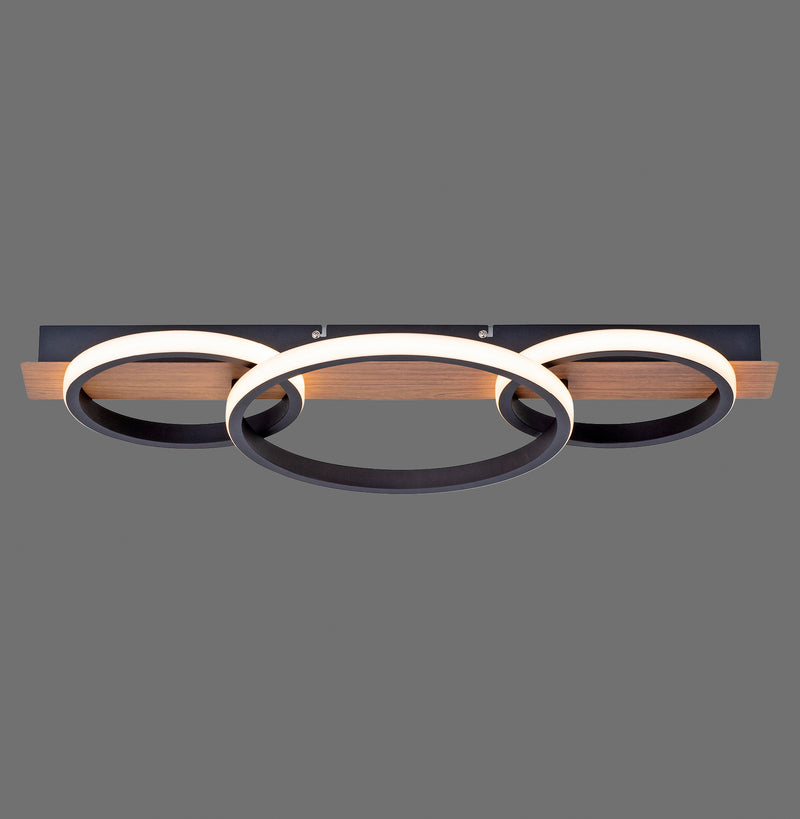 Plafoniera Paul Neuhaus TROOPER LED Lemn
