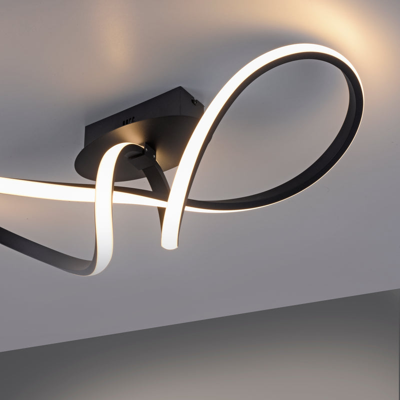 Plafoniera Paul Neuhaus MARIA LED Negru