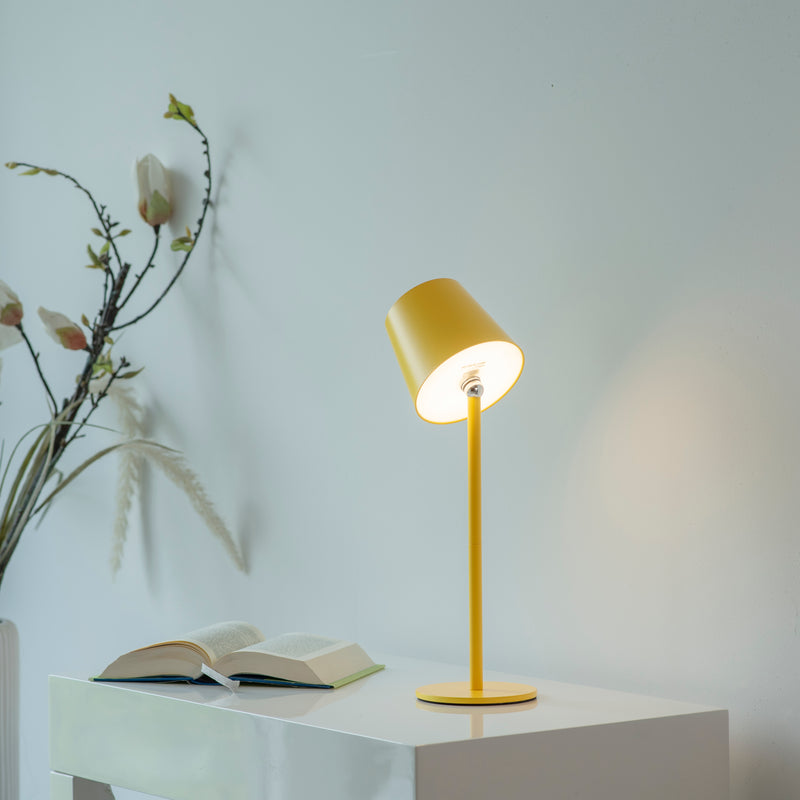 Veioza Paul Neuhaus BOTERIA LED Galben