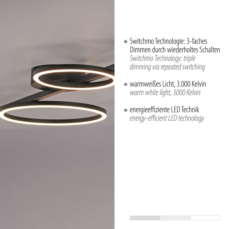 Plafoniera Paul Neuhaus MINI RITUS 4xLED Negru