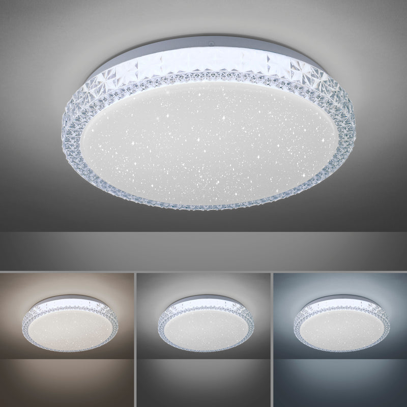 Plafoniera Paul Neuhaus FRIDA LED Transparent
