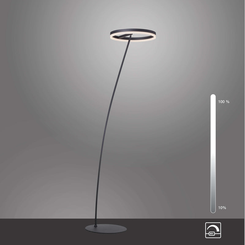 Lampadar Paul Neuhaus TITUS LED Antracit