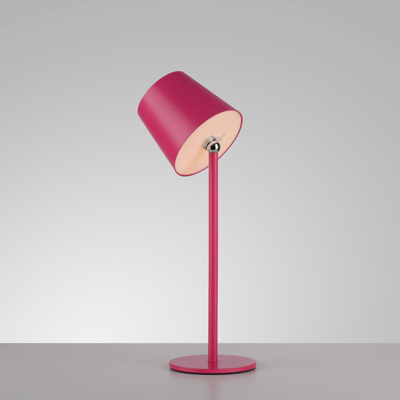Veioza Paul Neuhaus BOTERIA LED Roz