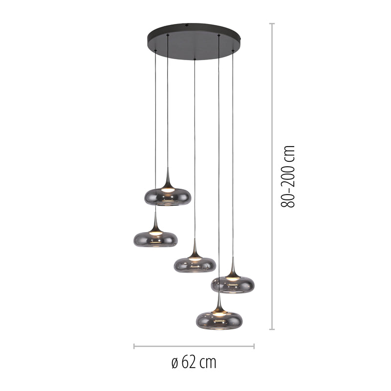 Lustra Paul Neuhaus POSH 5xLED Gri