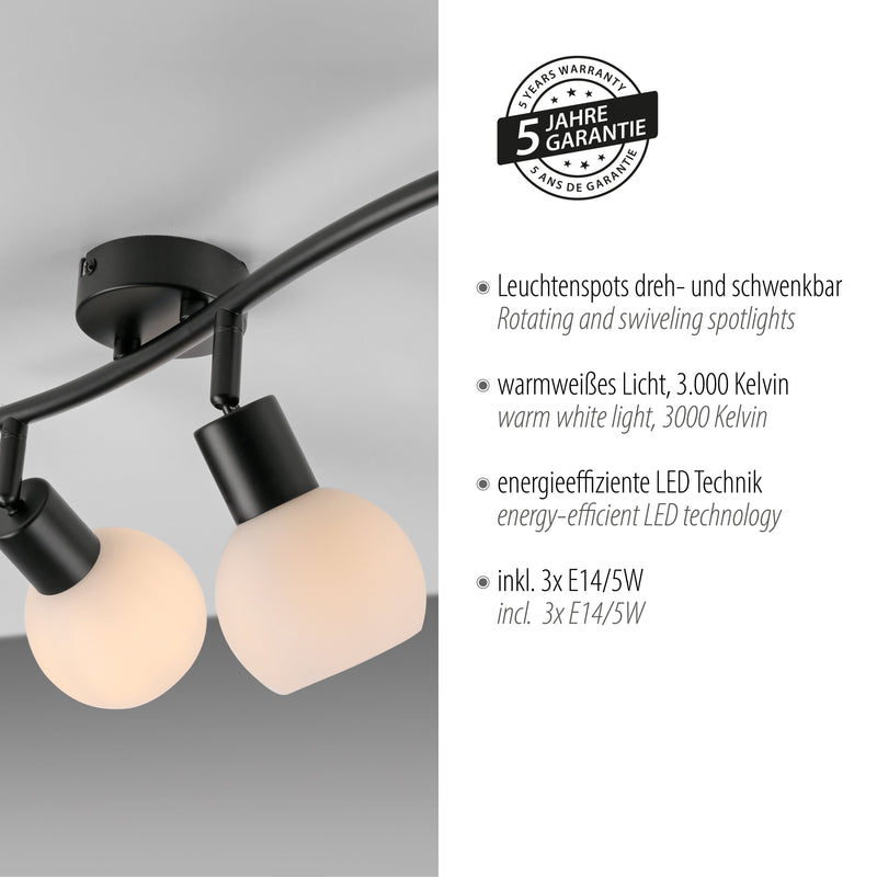 Plafoniera Paul Neuhaus LOKI 3xE14 Negru