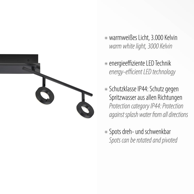 Plafoniera Paul Neuhaus SILEDA 4xLED Negru