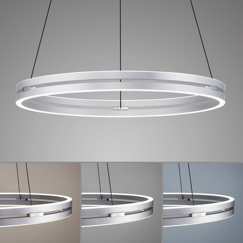 Lustra Paul Neuhaus PUREE-LOOP 2xLED Aluminiu