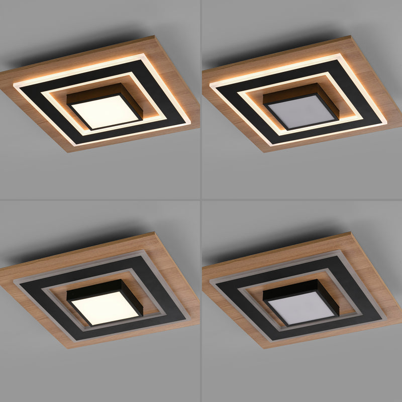 Plafoniera Paul Neuhaus TOLA LED Negru