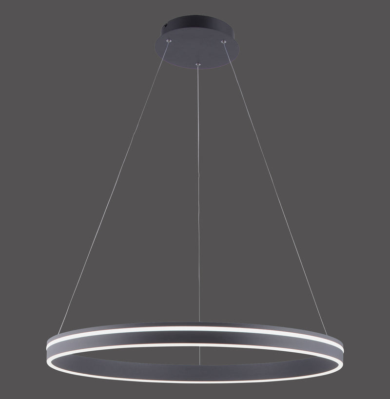 Lustra Paul Neuhaus Q-VITO LED Antracit