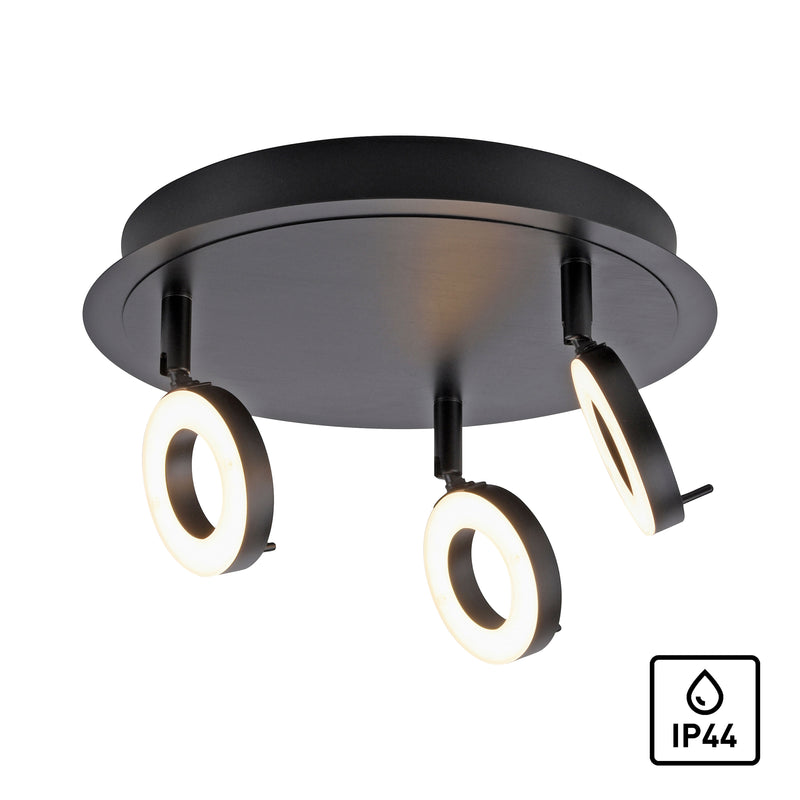 Plafoniera Paul Neuhaus SILEDA 3xLED Antracit