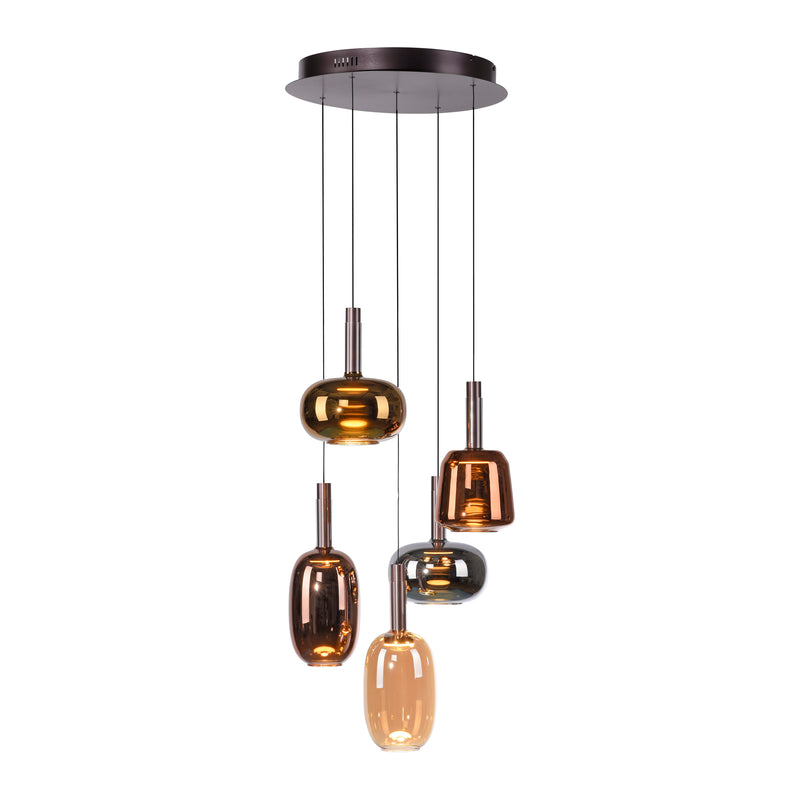 Lustra Paul Neuhaus IRIDES 5xLED Multicolor