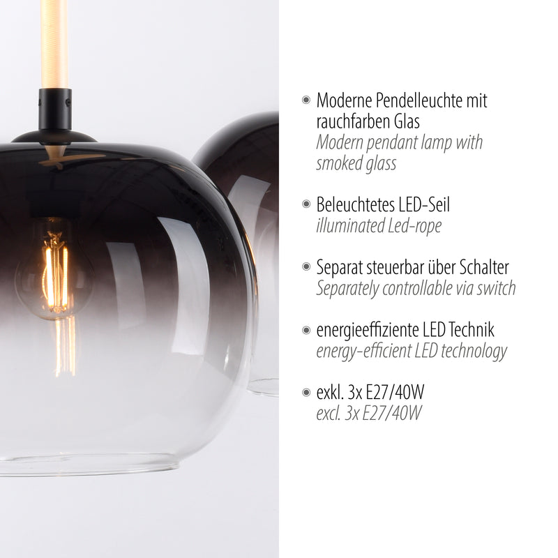 Lustra Paul Neuhaus LUMA 3xE27/LED Negru