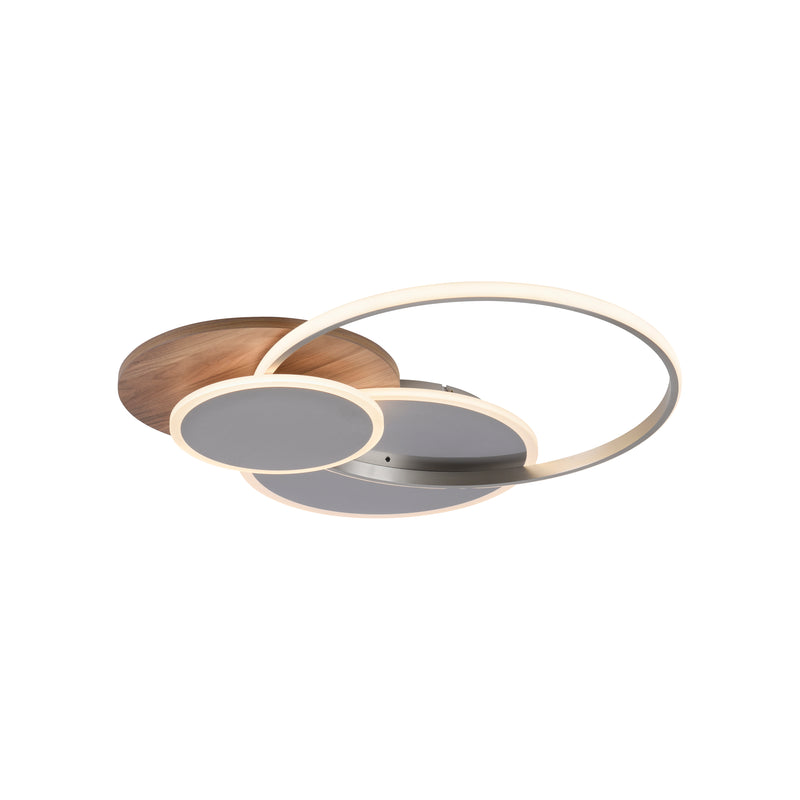 Plafoniera Paul Neuhaus PALMA LED Lemn