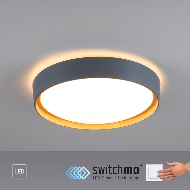 Plafoniera Paul Neuhaus EMILIA LED Gri