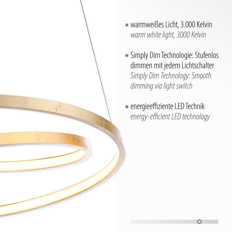 Lustra Paul Neuhaus ROMAN LED Auriu