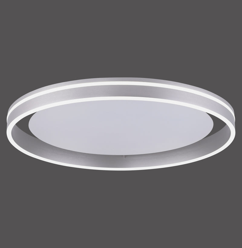Plafoniera Paul Neuhaus Q-VITO LED Otel