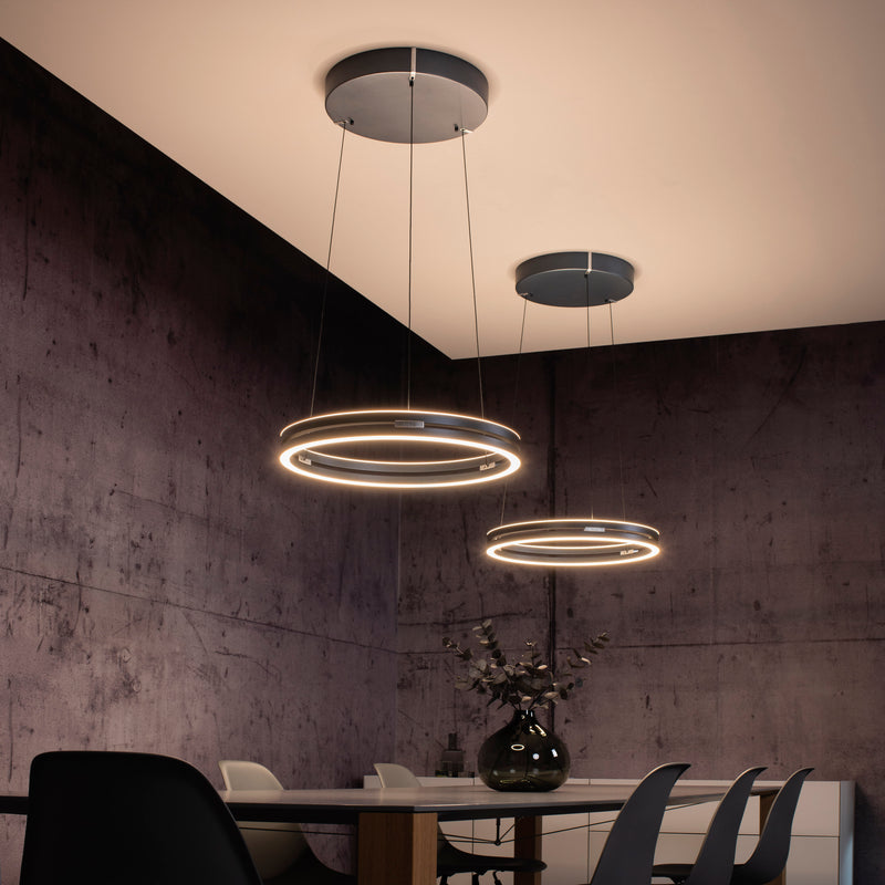 Lustra Paul Neuhaus PURE E-LOOP 2xLED Gri