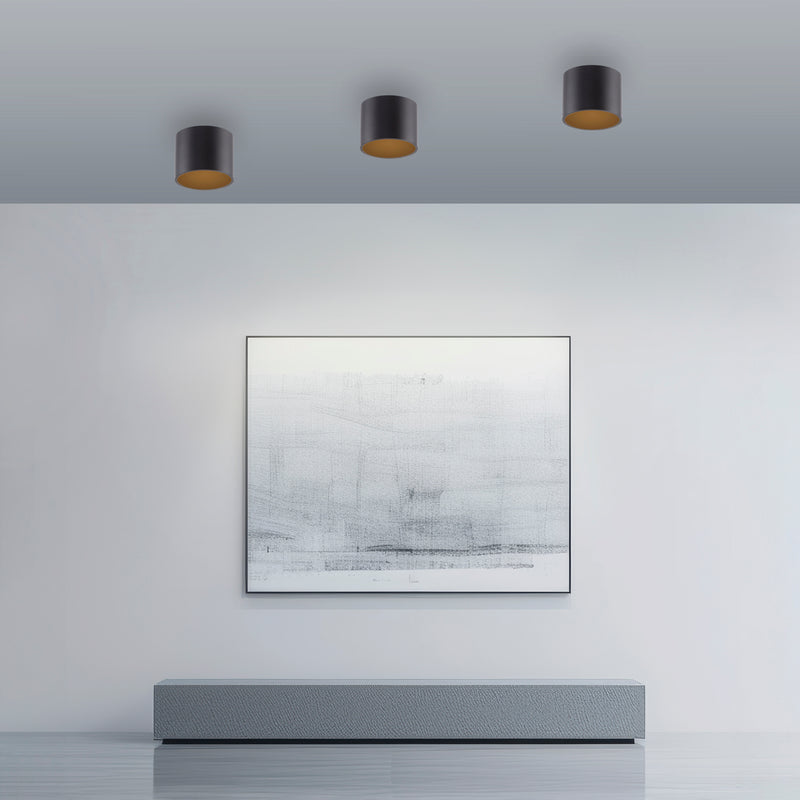 Plafoniera Paul Neuhaus PURE POINT LED Negru