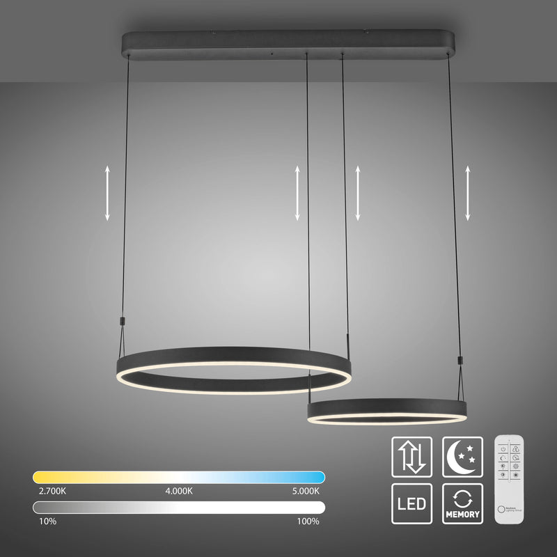 Lustra Paul Neuhaus ESKO 2xLED Negru