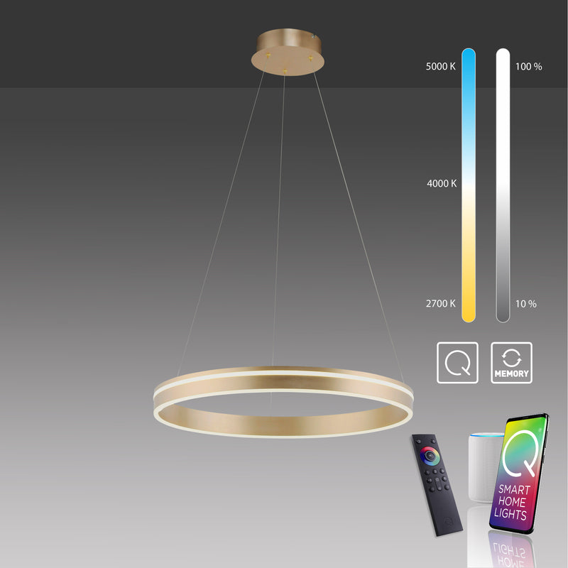Lustra Paul Neuhaus Q-VITO LED Alama Mat