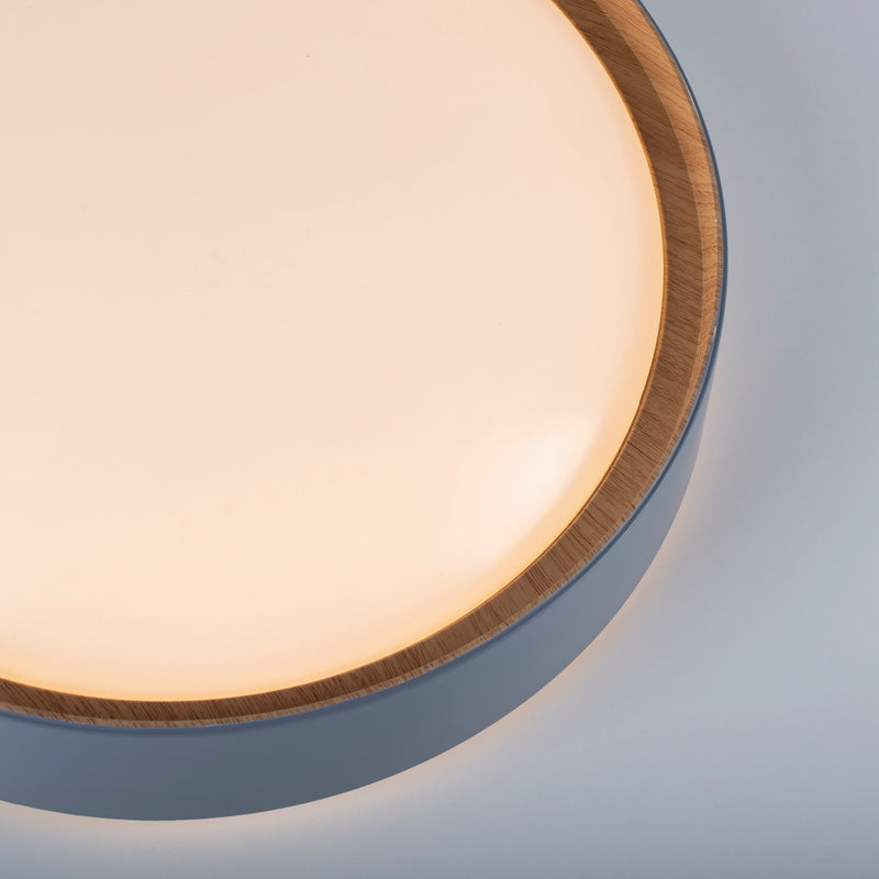 Plafoniera Paul Neuhaus EMILIA LED Gri