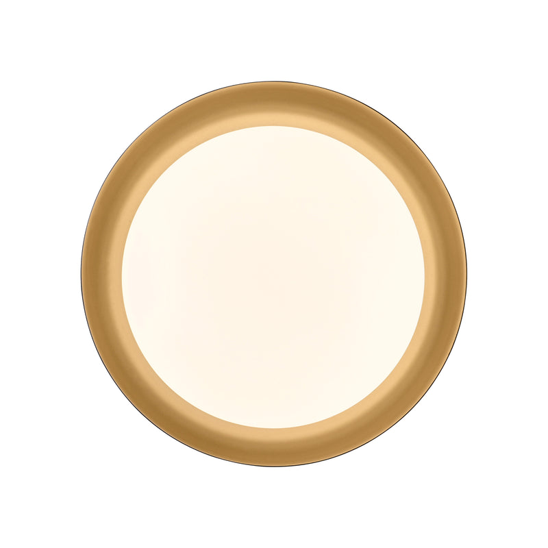 Plafoniera Paul Neuhaus OSKO LED Negru